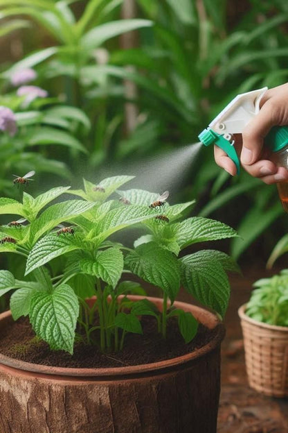 Plant Protection Spray - Buy 1 Get 2 Free